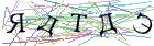 Введите текст с картинки