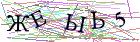 Введите текст с картинки
