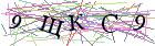 Введите текст с картинки