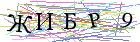 Введите текст с картинки