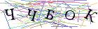 Введите текст с картинки