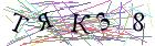Введите текст с картинки