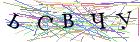 Введите текст с картинки