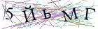 Введите текст с картинки