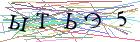 Введите текст с картинки