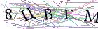 Введите текст с картинки