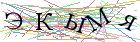Введите текст с картинки