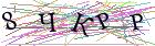 Введите текст с картинки