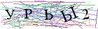 Введите текст с картинки