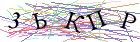 Введите текст с картинки