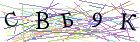 Введите текст с картинки