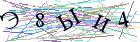 Введите текст с картинки