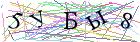 Введите текст с картинки
