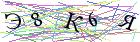 Введите текст с картинки