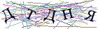 Введите текст с картинки