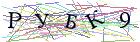 Введите текст с картинки