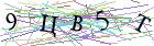Введите текст с картинки