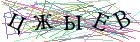 Введите текст с картинки