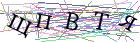 Введите текст с картинки