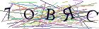 Введите текст с картинки