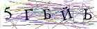 Введите текст с картинки