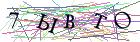 Введите текст с картинки