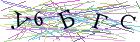 Введите текст с картинки