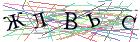 Введите текст с картинки