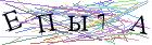 Введите текст с картинки