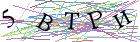 Введите текст с картинки