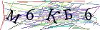 Введите текст с картинки