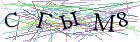 Введите текст с картинки