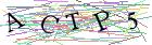 Введите текст с картинки