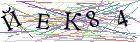 Введите текст с картинки