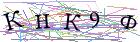 Введите текст с картинки