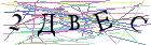 Введите текст с картинки