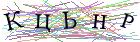 Введите текст с картинки