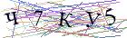 Введите текст с картинки