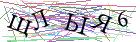 Введите текст с картинки