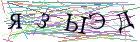 Введите текст с картинки