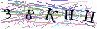Введите текст с картинки
