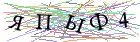 Введите текст с картинки