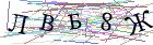 Введите текст с картинки