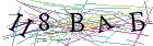 Введите текст с картинки
