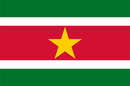 Подробности получения визы в Суринам. Виза Суринам