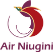 Air Niugini, Air Niugini Limited, Эйр Ниугини