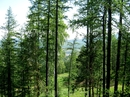 Фотография Горнолыжные курорты Абзаково