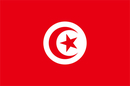 Подробности получения визы в Тунис. Виза Тунис
